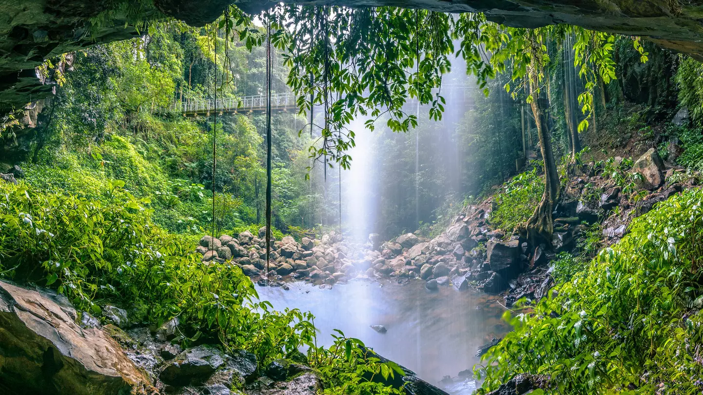 Crystal Shower Falls in the Gondwana Rainforest at Dorrigo National Park, New South Wales