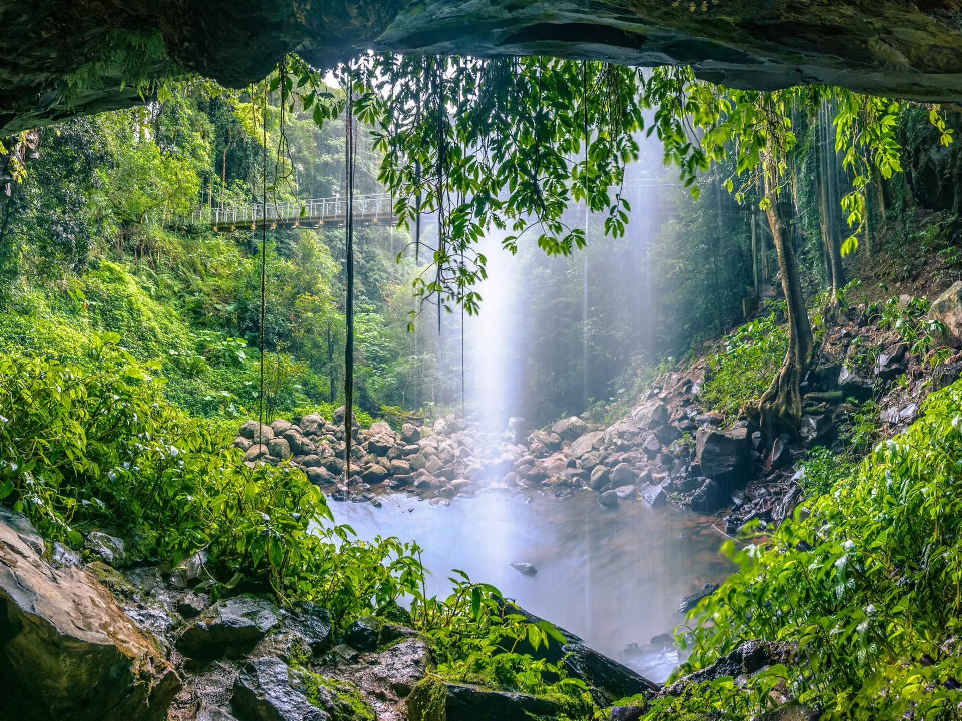 Crystal Shower Falls in the Gondwana Rainforest at Dorrigo National Park, New South Wales