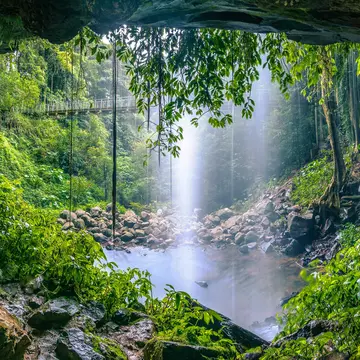 Crystal Shower Falls in the Gondwana Rainforest at Dorrigo National Park, New South Wales