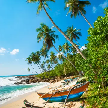 Untouched tropical beach with palms and fishing boats in Sri-Lanka
110639879
day, sri, bay, sky, sea, tree, calm, view, sand, wave, blue, boat, palm, coast, shore, sunny, lanka, beach, relax, water, ocean, island, ceylon, travel, summer, lagoon, beauty, tropic, scenic, nature, exotic, tourism, idyllic, fishing, tropical, paradise, seascape, tranquil, vacation, untouched, caribbean, beautiful, turquoise, coastline, sri-lanka, landscape, background, relaxation