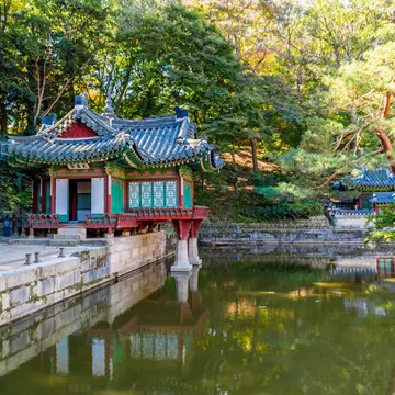 Wonderful wander: the Secret Garden in Changdeokgung, Seoul. Jaione_Garcia / Shutterstock