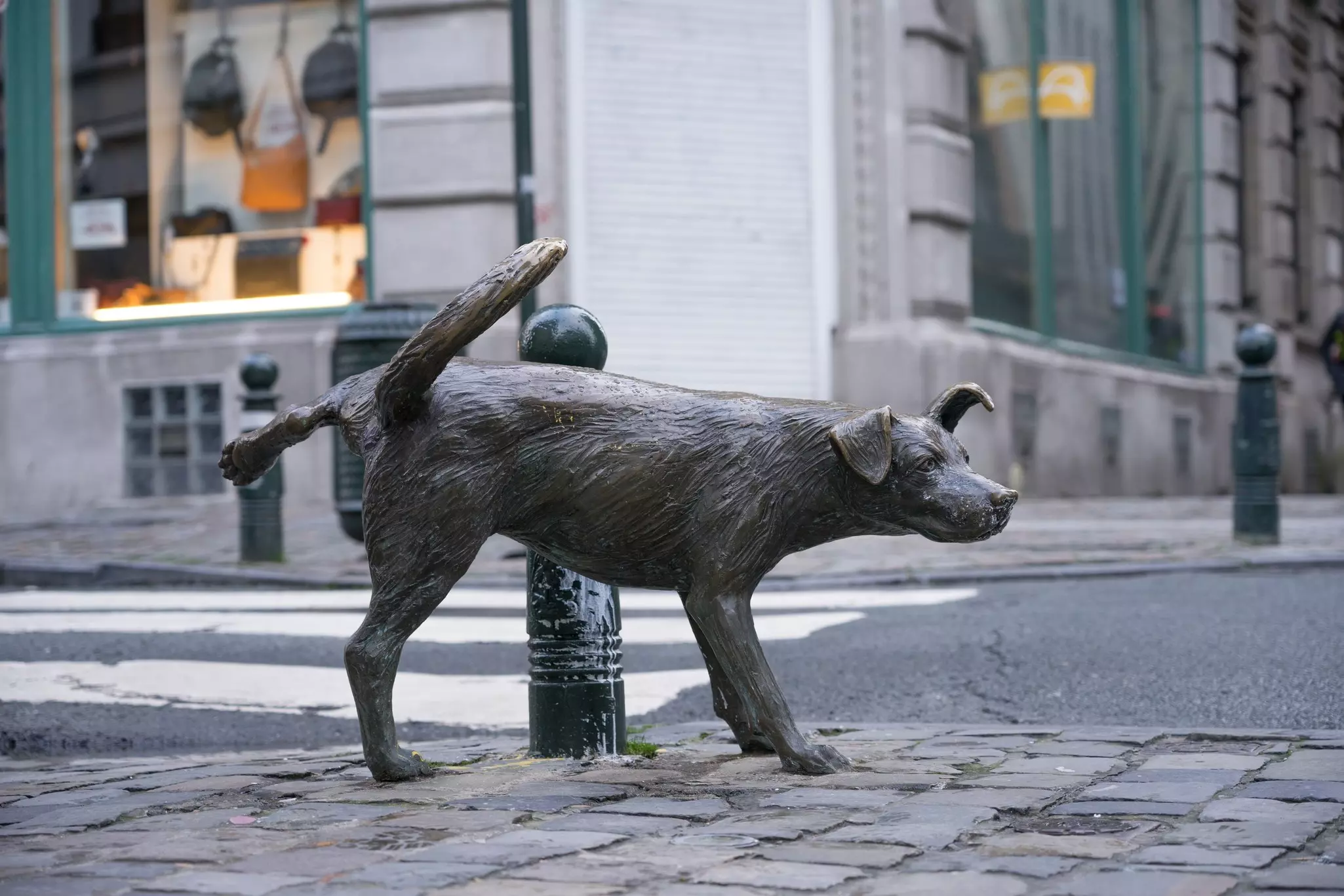 A bronze statue of a male dog raising his hind leg next to a bollard on a street in Brussels, Belgium