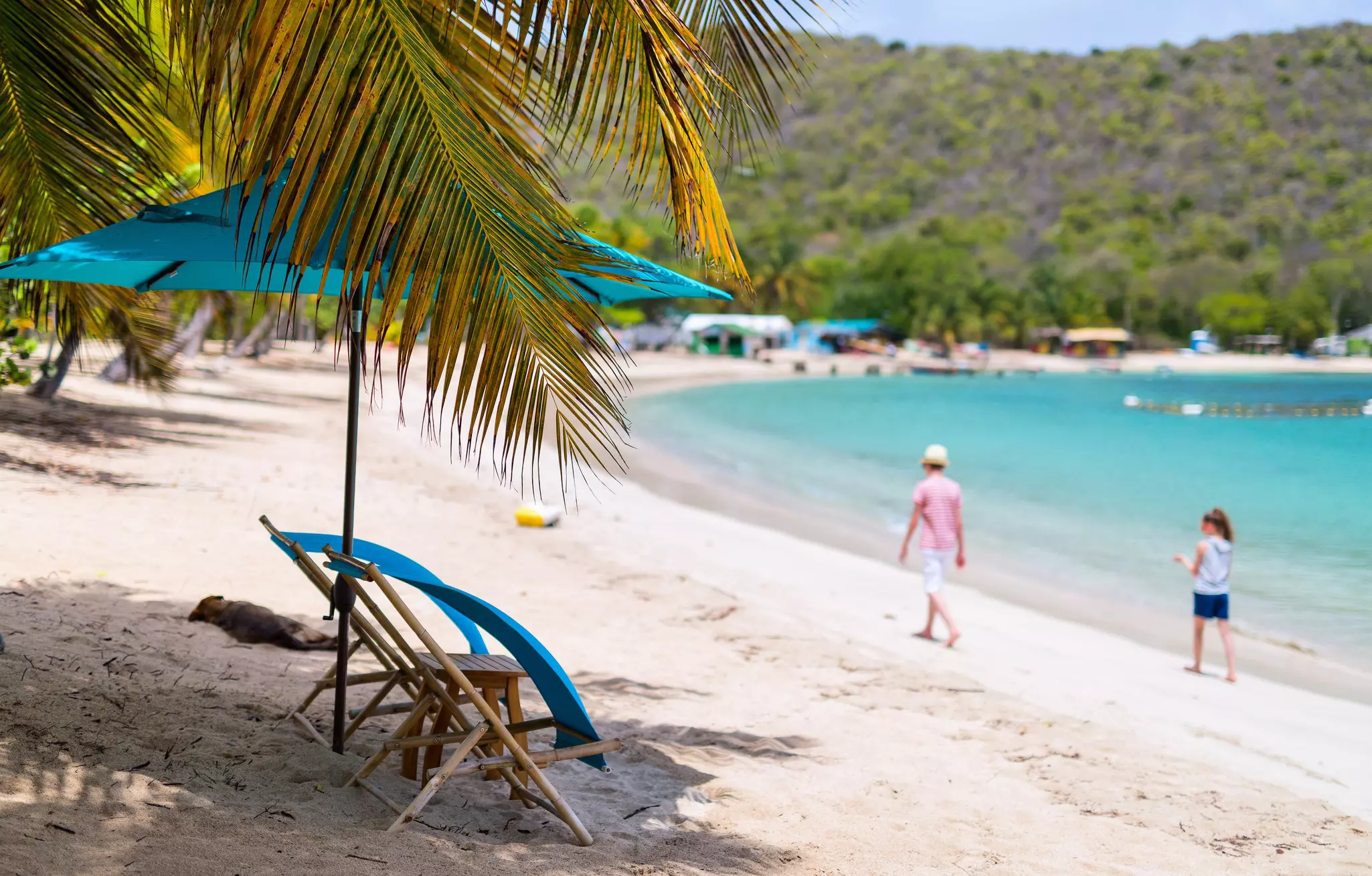 Beach chairs on a sandy beach.
