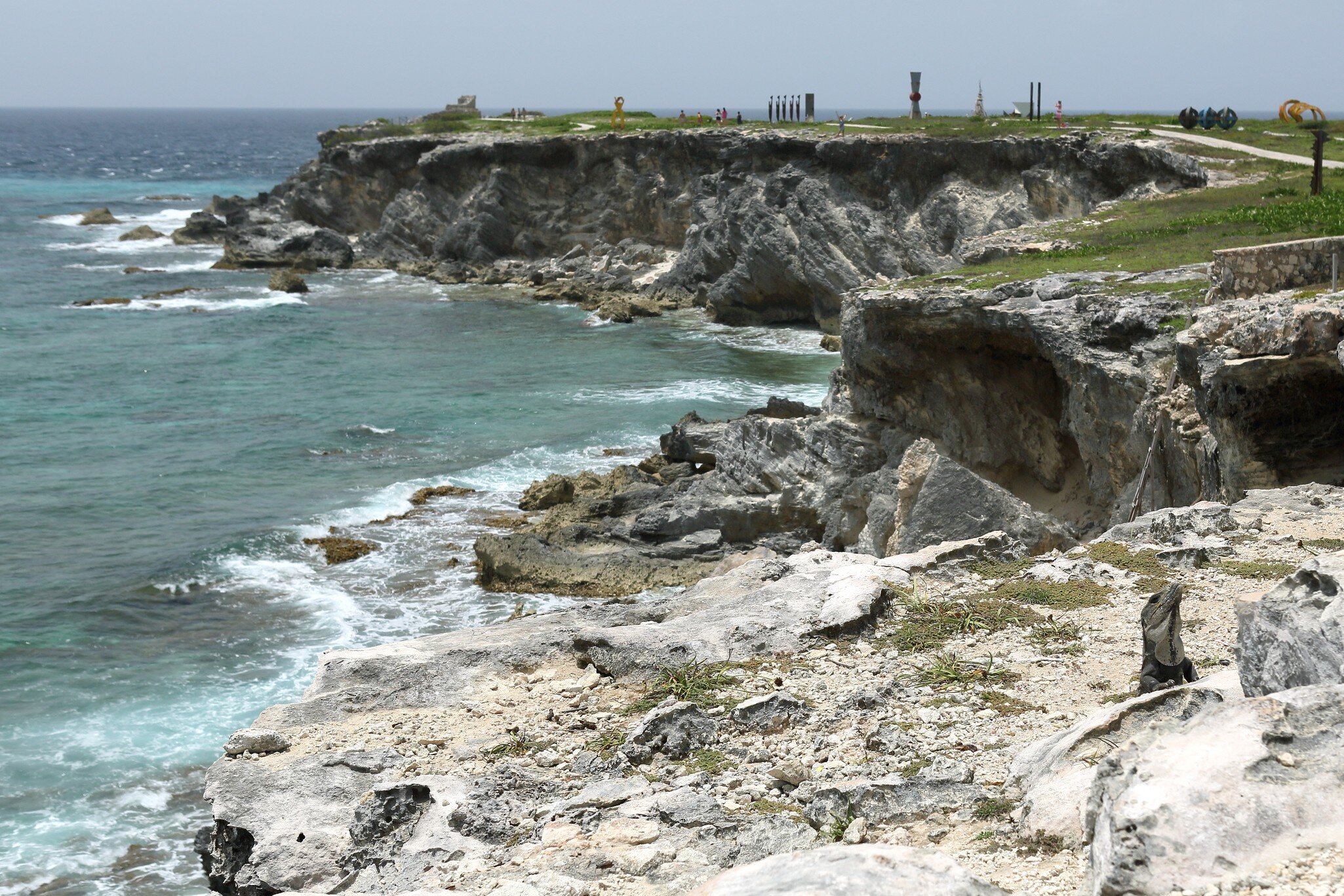 Iguanas at Punta Sur on Isla Mujeres, Quintana Roo
