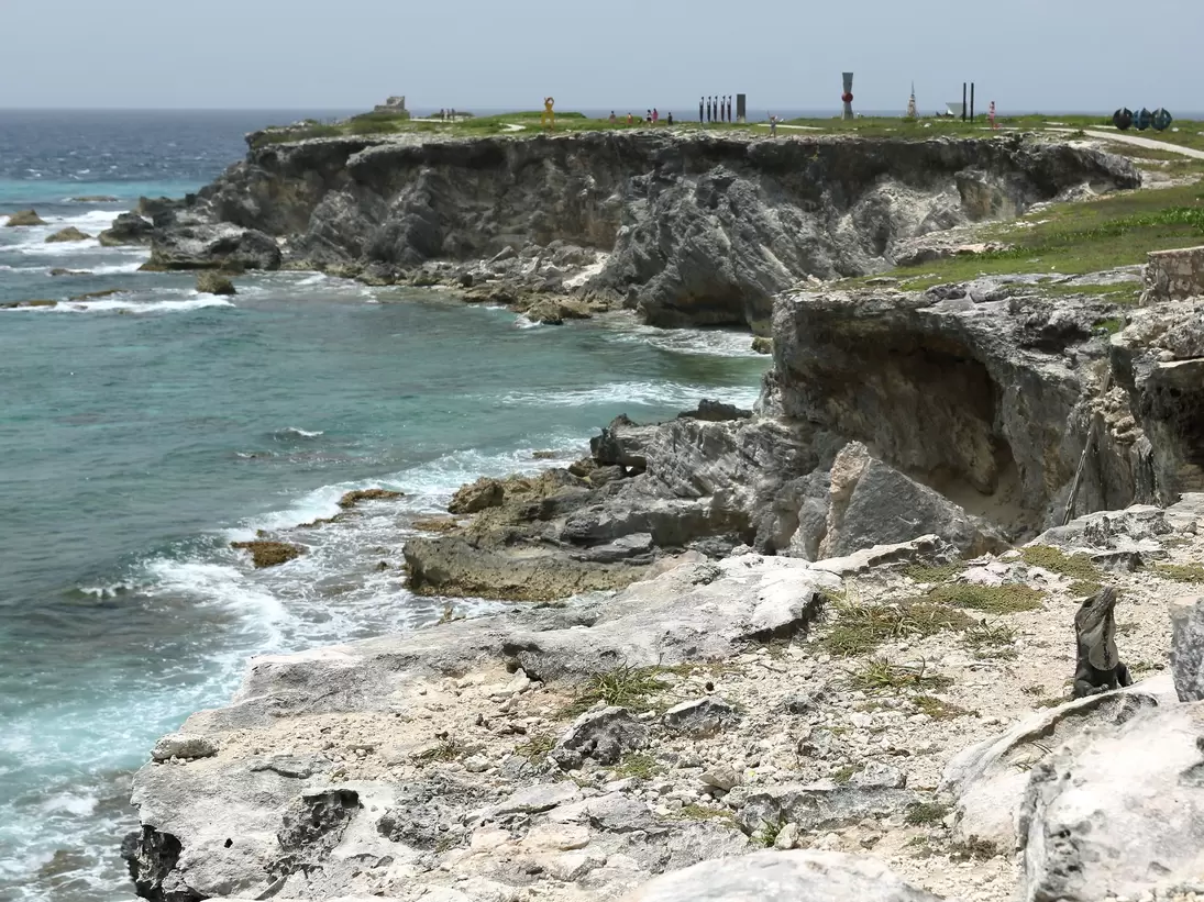 Iguanas at Punta Sur on Isla Mujeres, Quintana Roo