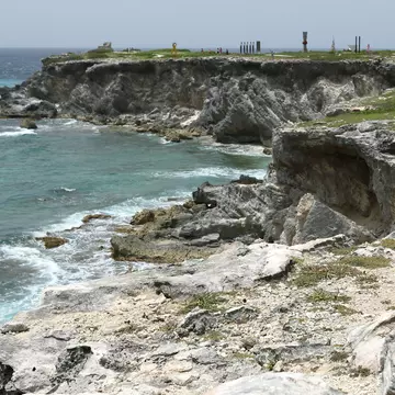 Iguanas at Punta Sur on Isla Mujeres, Quintana Roo