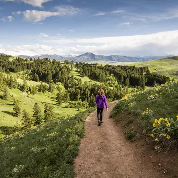 Bozeman & Gallatin Valley