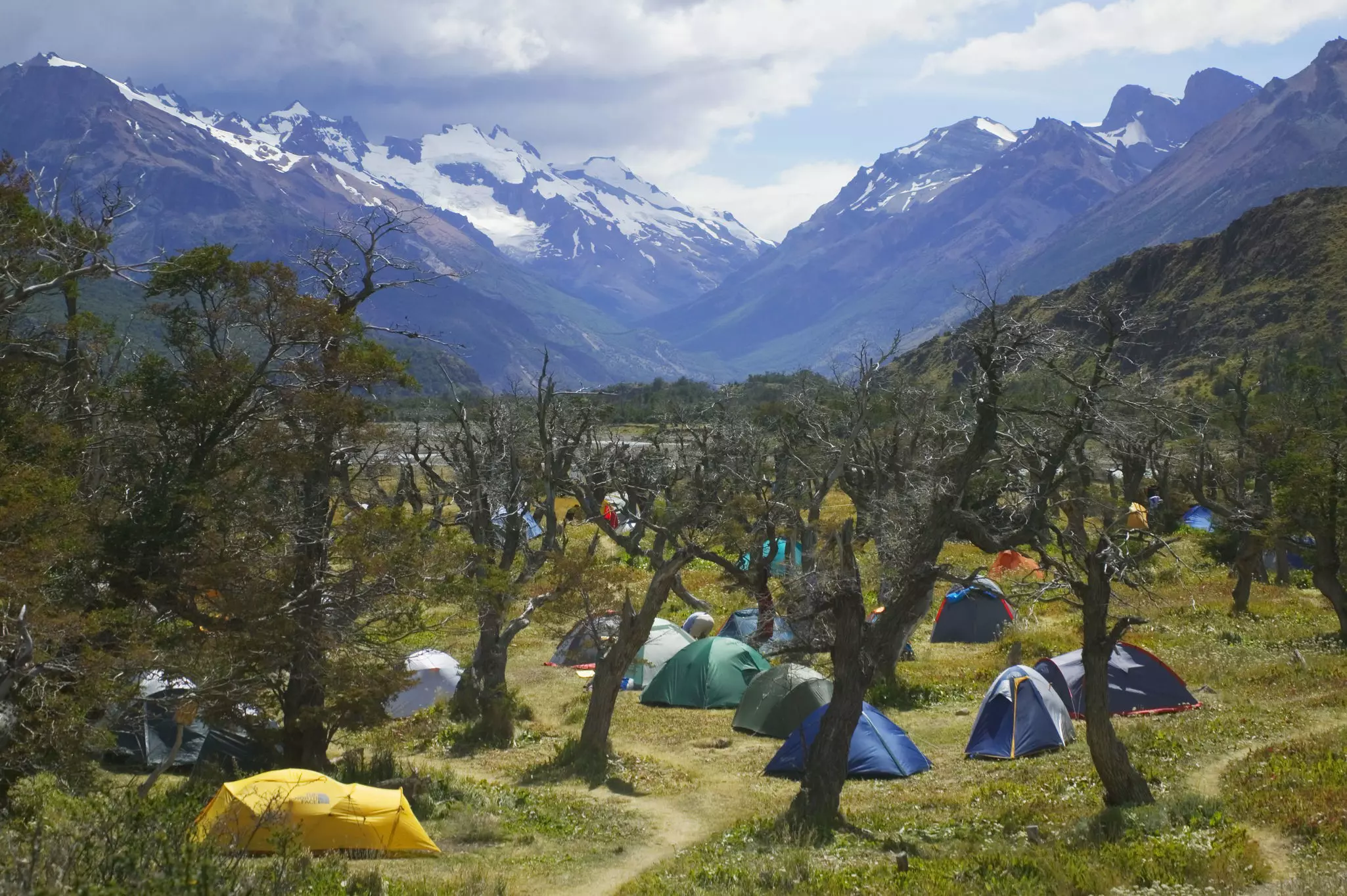 A number of multicolored tents are set up among trees in a green valley in Los Glaciares National Park, with snowcapped mountains in the background.