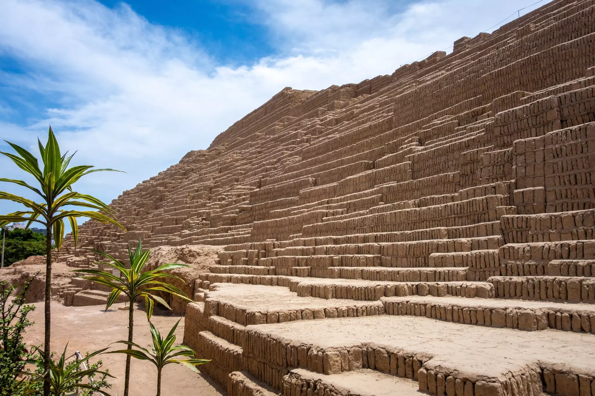 A mult-leveled pyramid rises into a blue sky. Green plants are in the bottom left corner of the photo.