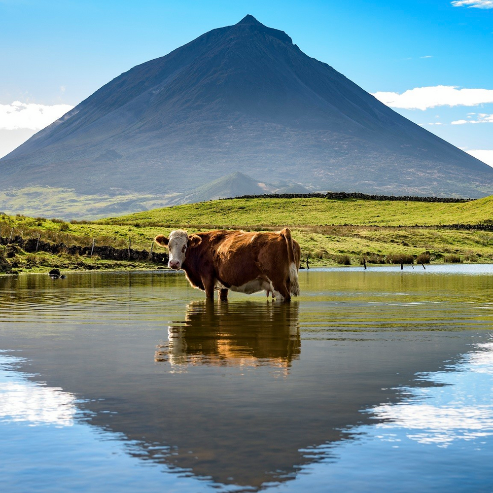 Mt Pico, the Azores