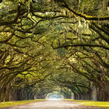 Forsyth Park in Savannah
