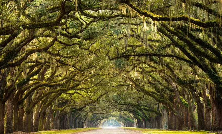 Forsyth Park in Savannah