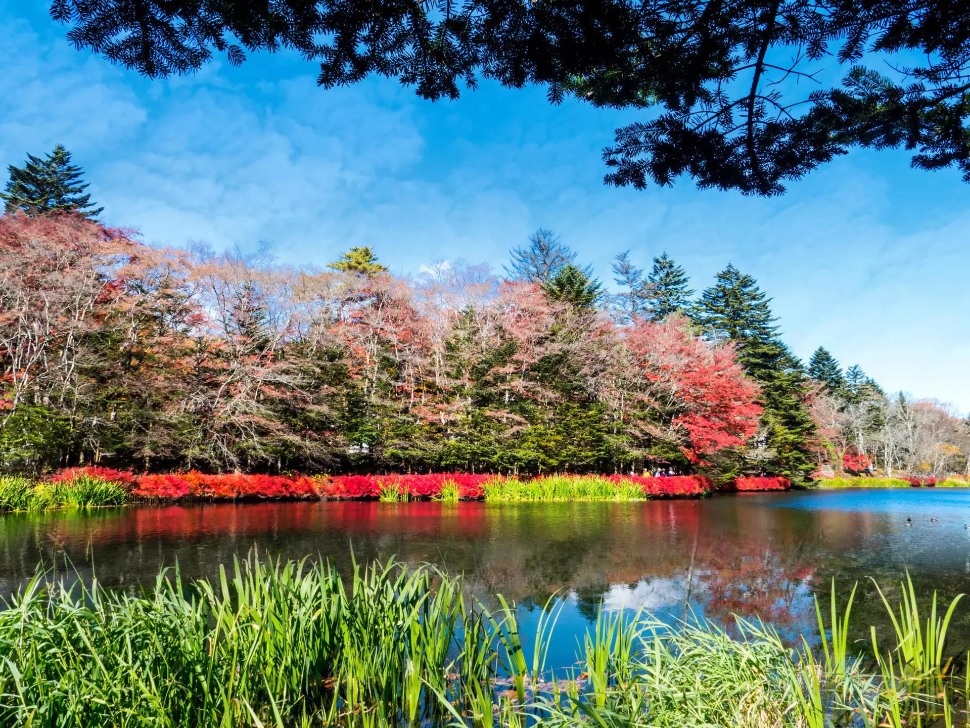 A lake in Karuizawa during the fall season.