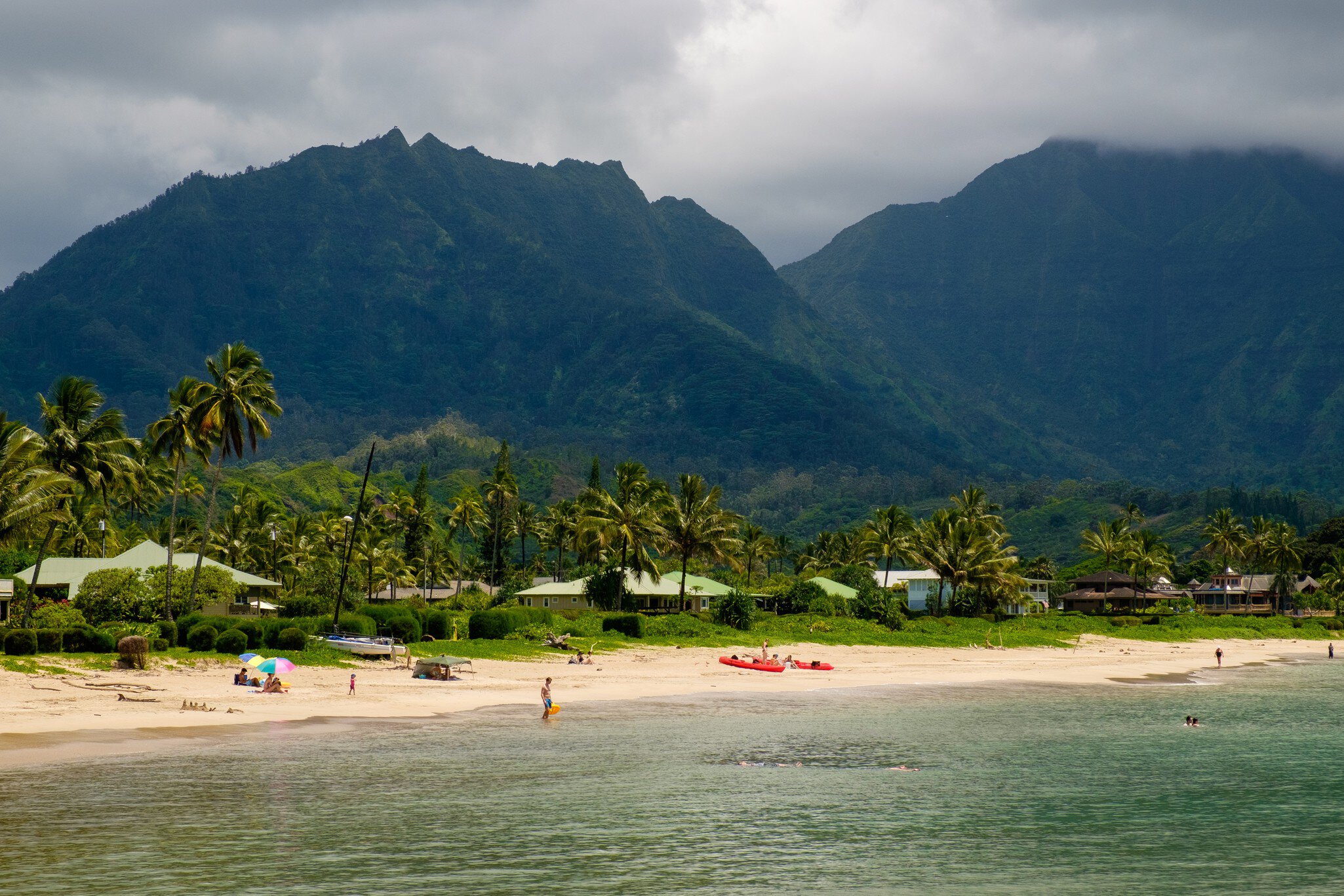 Palm trees and lush forest backs the white-sand beach of Hanalei Bay in Kaua&lsquo;i, Hawaii