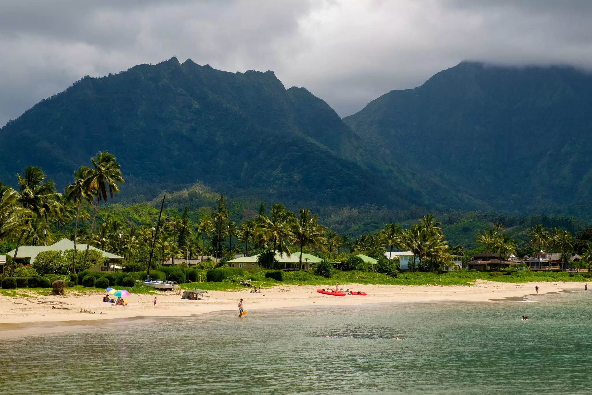 Palm trees and lush forest backs the white-sand beach of Hanalei Bay in Kaua‘i, Hawaii