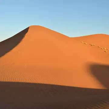 Dune at sunset, Sahara