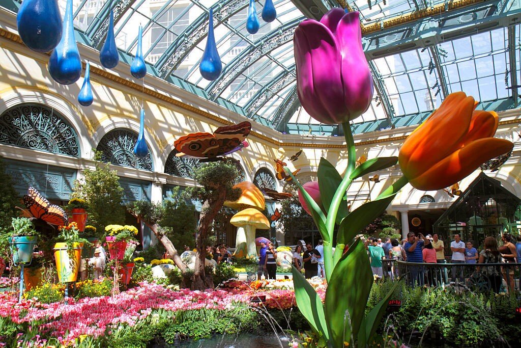Conservatory & Botanical Gardens at the Bellagio. (Photo by: Jeffrey Greenberg/Universal Images Group via Getty Images)
630060396
South Las Vegas Boulevard, Conservatory & Botanical Gardens, giant tulips