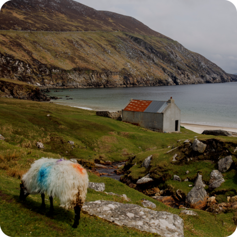 Coastal scene, Ireland