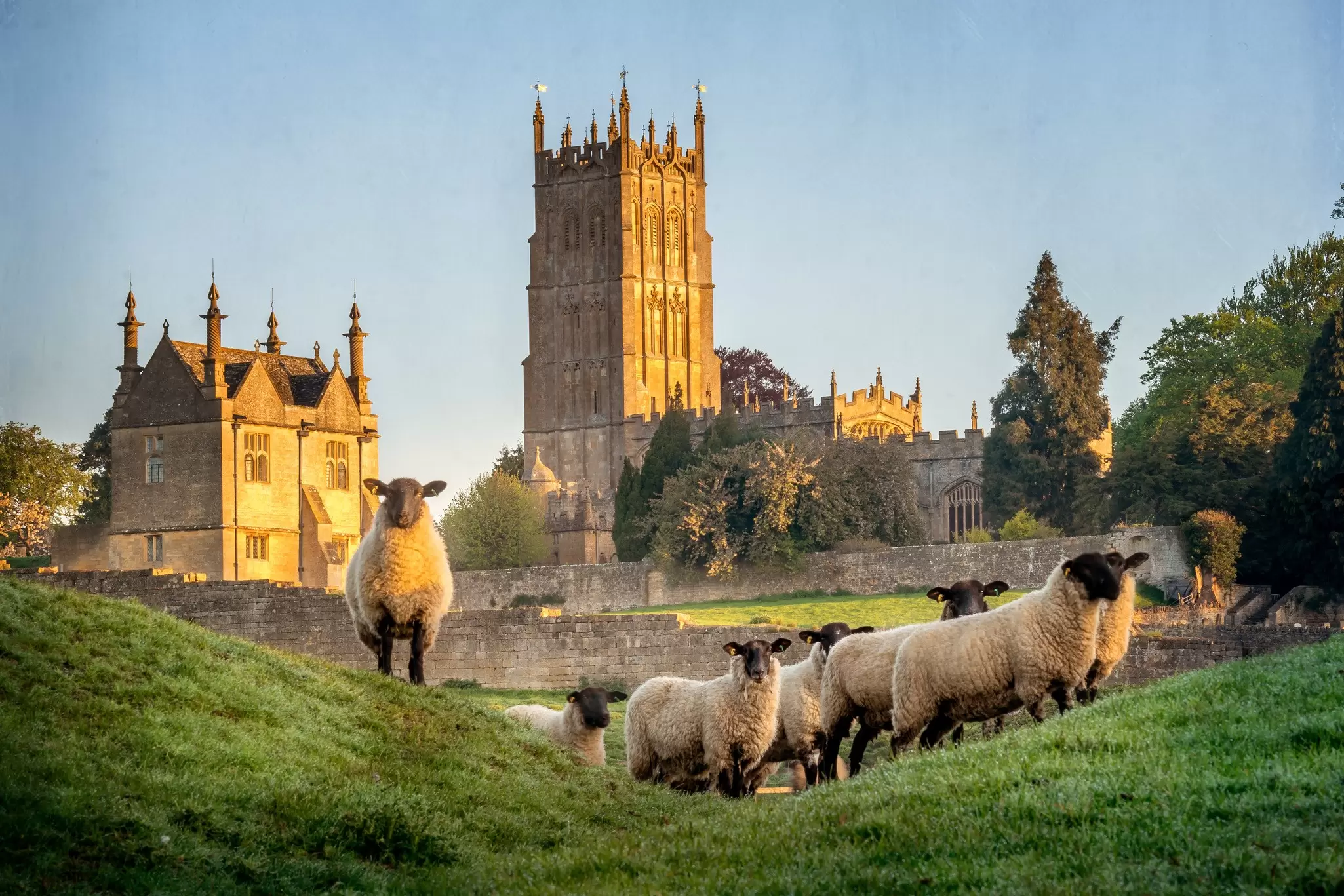 A country scene in the Cotswolds, England. Dave Knibbs/Shutterstock