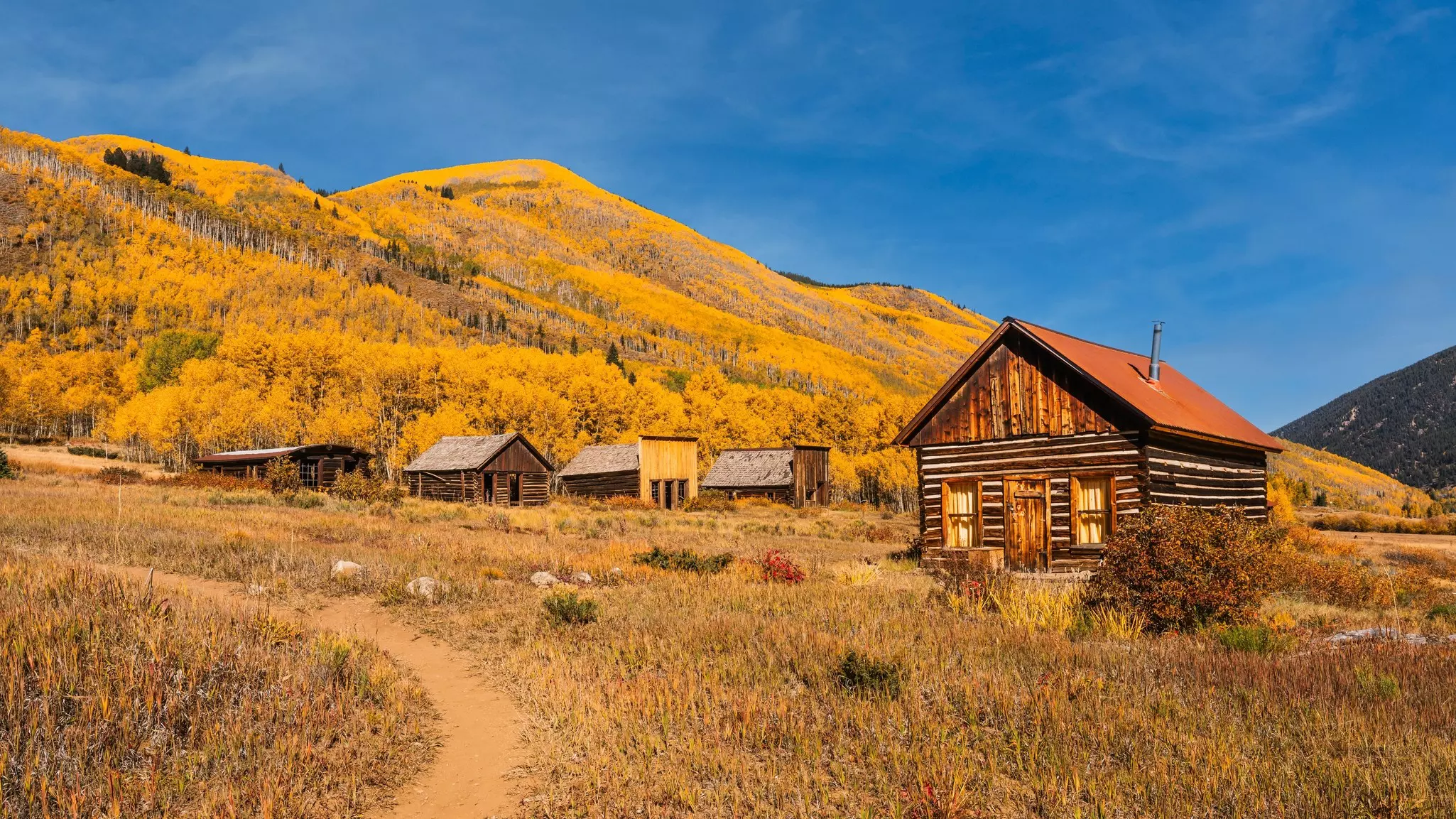 Ashcroft Ghost Town Colorado Cabins in Peak Fall Colors,