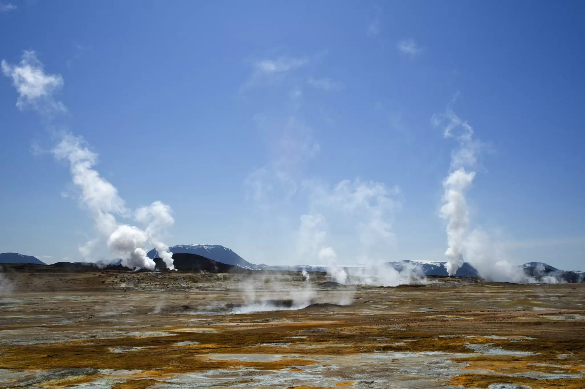 Stema rising from a geothermal field near Lake Myvatn in northern Iceland. 