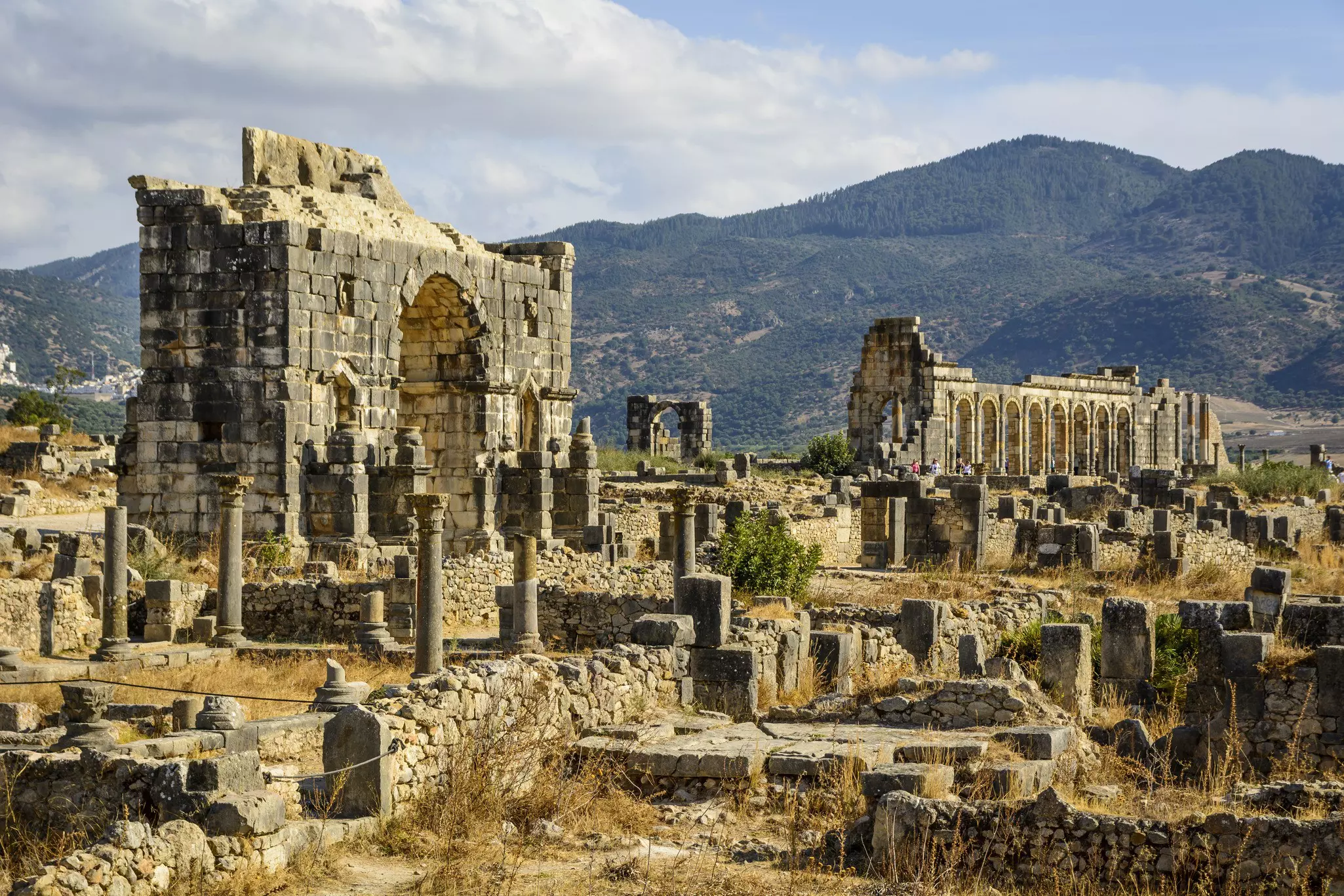 The ruins of Volubilis, a partly excavated Roman city, Meknes, Morocco.Deyan Denchev / Shutterstock