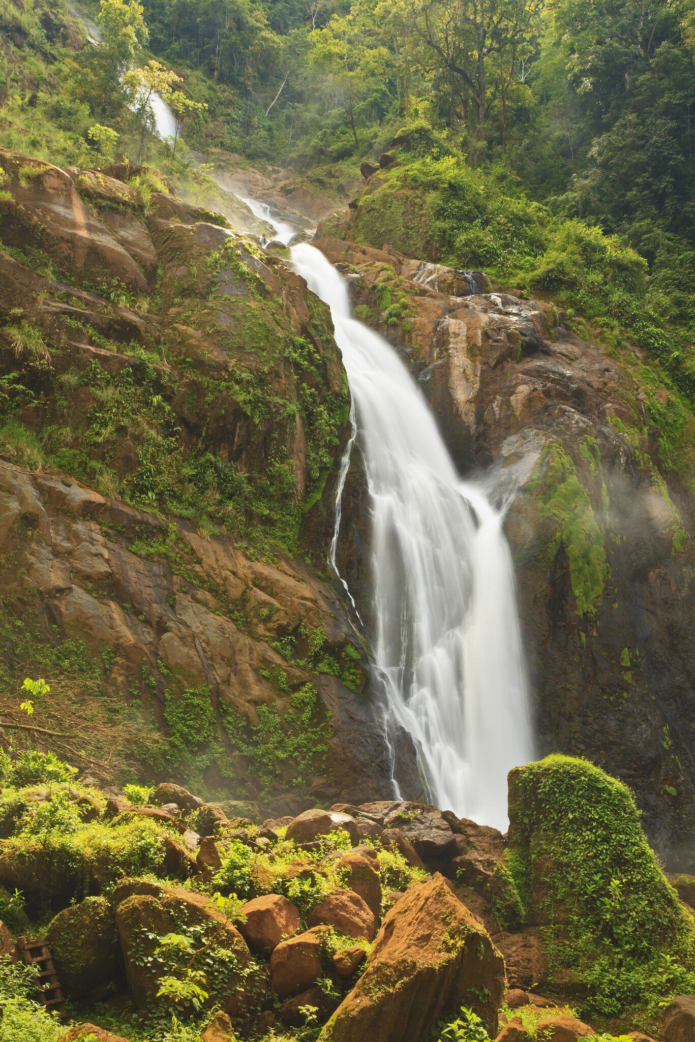 Misty Catarata Manantial de Agua Viva waterfall - near Bigagual, Costa Rica - the tallest waterfall in Costa Rica.
