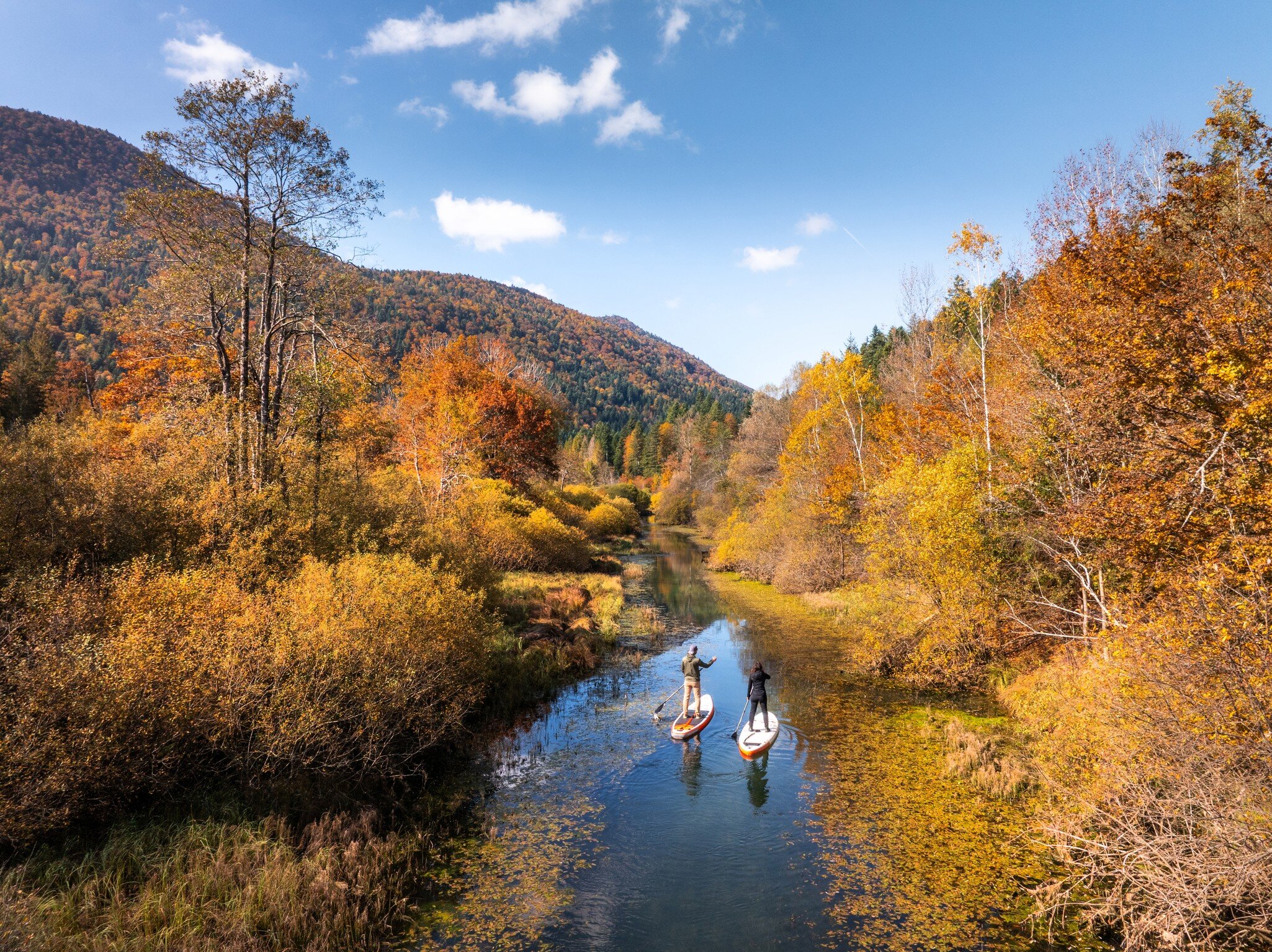 People paddleboarding on the Ribnica River surrounded by vibrant autumn foliage in the Ribnica Valley, Slovenia.
