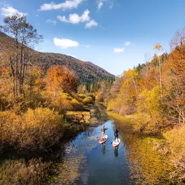 People paddleboarding on the Ribnica River surrounded by vibrant autumn foliage in the Ribnica Valley, Slovenia.