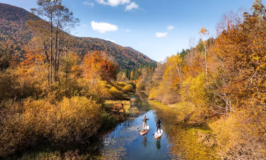 People paddleboarding on the Ribnica River surrounded by vibrant autumn foliage in the Ribnica Valley, Slovenia.
