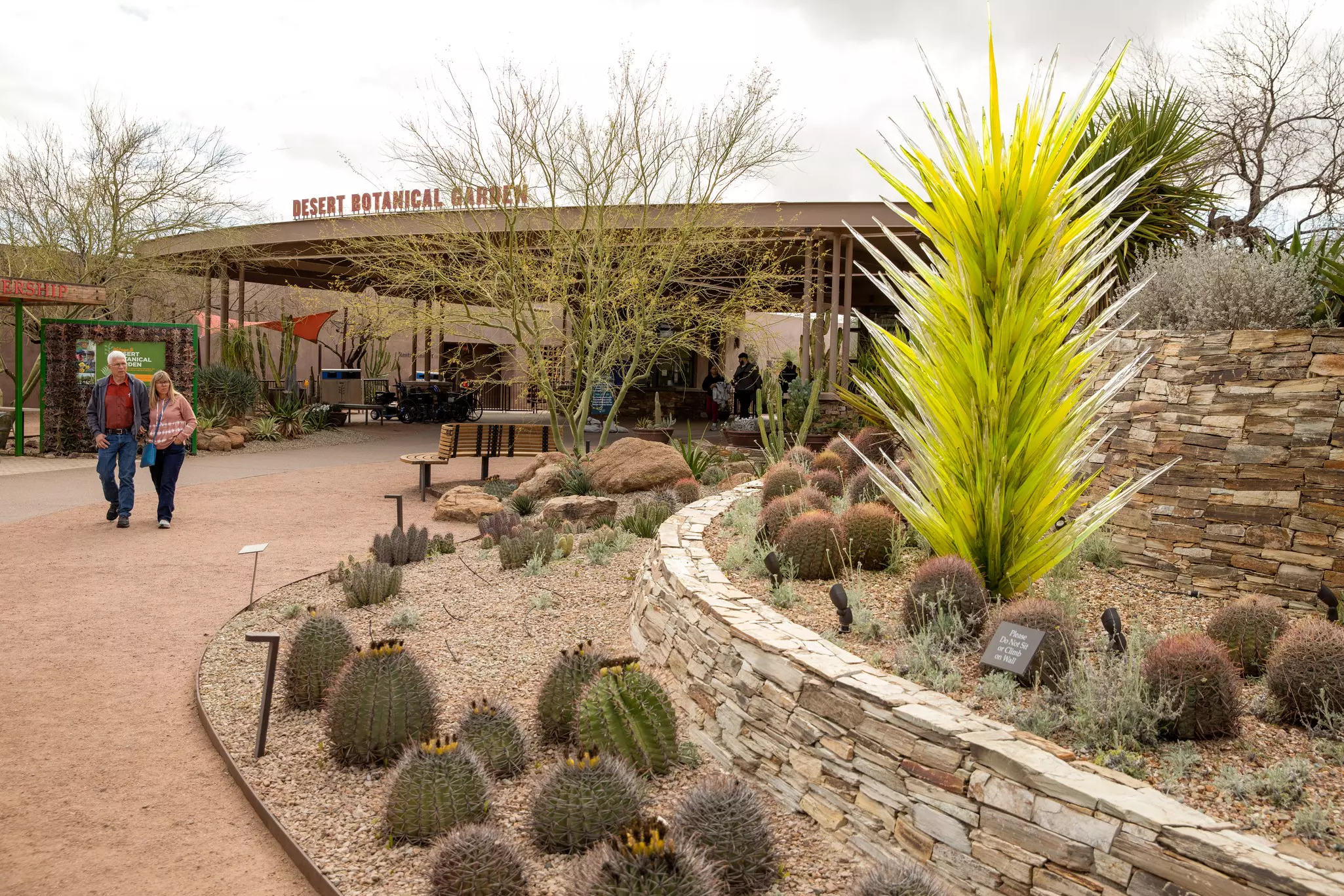The Desert Botanical Garden in Phoenix.