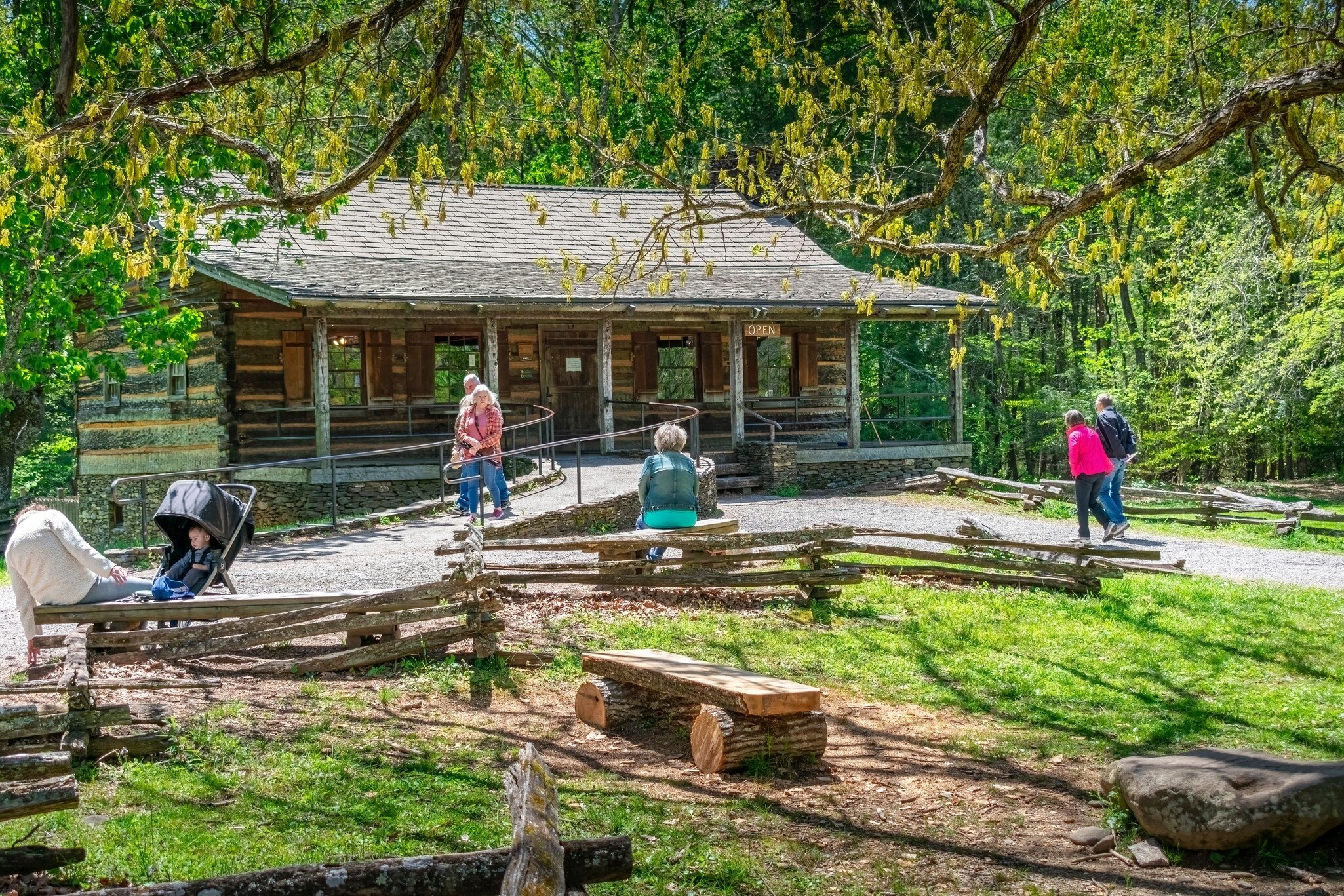 Visitors outside a log cabin building on a green clearing among trees.