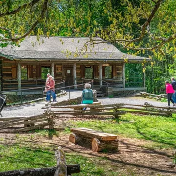 Visitors outside a log cabin building on a green clearing among trees.