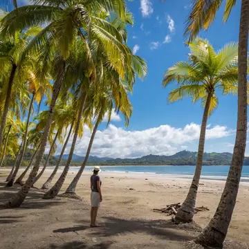 Beautiful blue sky day with a blue sea and empty sand. Playa Samara, Costa Rica, Central America.