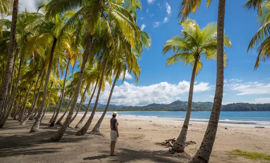 Playa Sámara, Nicoya: woman in a sun hat among leaning coconut palms on wide sand, turquoise bay and green hills beyond