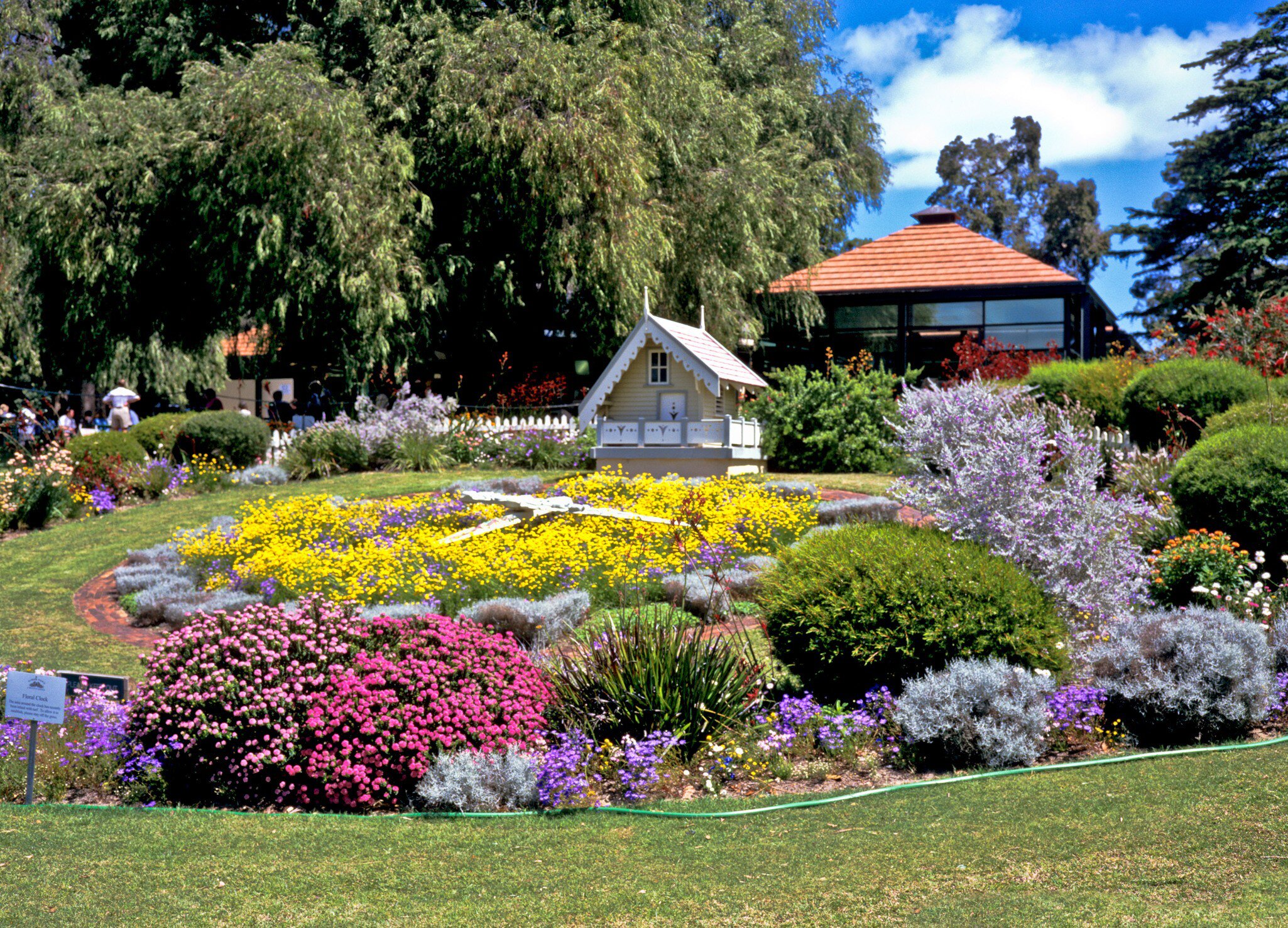 ARX1TR Floral clock in Kings Park Perth Western Australia in spring. Image shot 10/1997. Exact date unknown.
ARX1TR
Floral, clock, Kings, Park, Perth, Western, Australia, L, flowers, garden, landscape, unusual, rare, 1962, 645, WA, Western, botanic, clock, color, colour, floral, flowers, plants, shrubs, time, spring, new, turf, notice, brick, paving, surround, irrigation, water, pipe, mature, z, z4, Australia, October, scene, season, pretty, attractive, eye-catching, pleasing, view, Colourful, Alwdaz5
Floral clock in Kings Park Perth Western Australia in spring