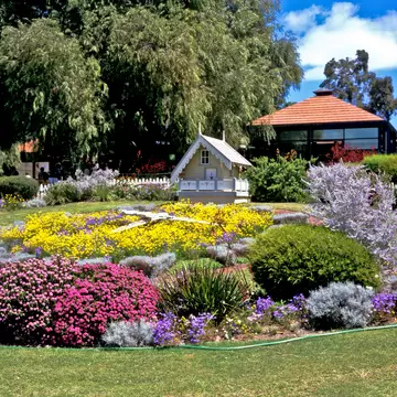 ARX1TR Floral clock in Kings Park Perth Western Australia in spring. Image shot 10/1997. Exact date unknown.
ARX1TR
Floral, clock, Kings, Park, Perth, Western, Australia, L, flowers, garden, landscape, unusual, rare, 1962, 645, WA, Western, botanic, clock, color, colour, floral, flowers, plants, shrubs, time, spring, new, turf, notice, brick, paving, surround, irrigation, water, pipe, mature, z, z4, Australia, October, scene, season, pretty, attractive, eye-catching, pleasing, view, Colourful, Alwdaz5
Floral clock in Kings Park Perth Western Australia in spring