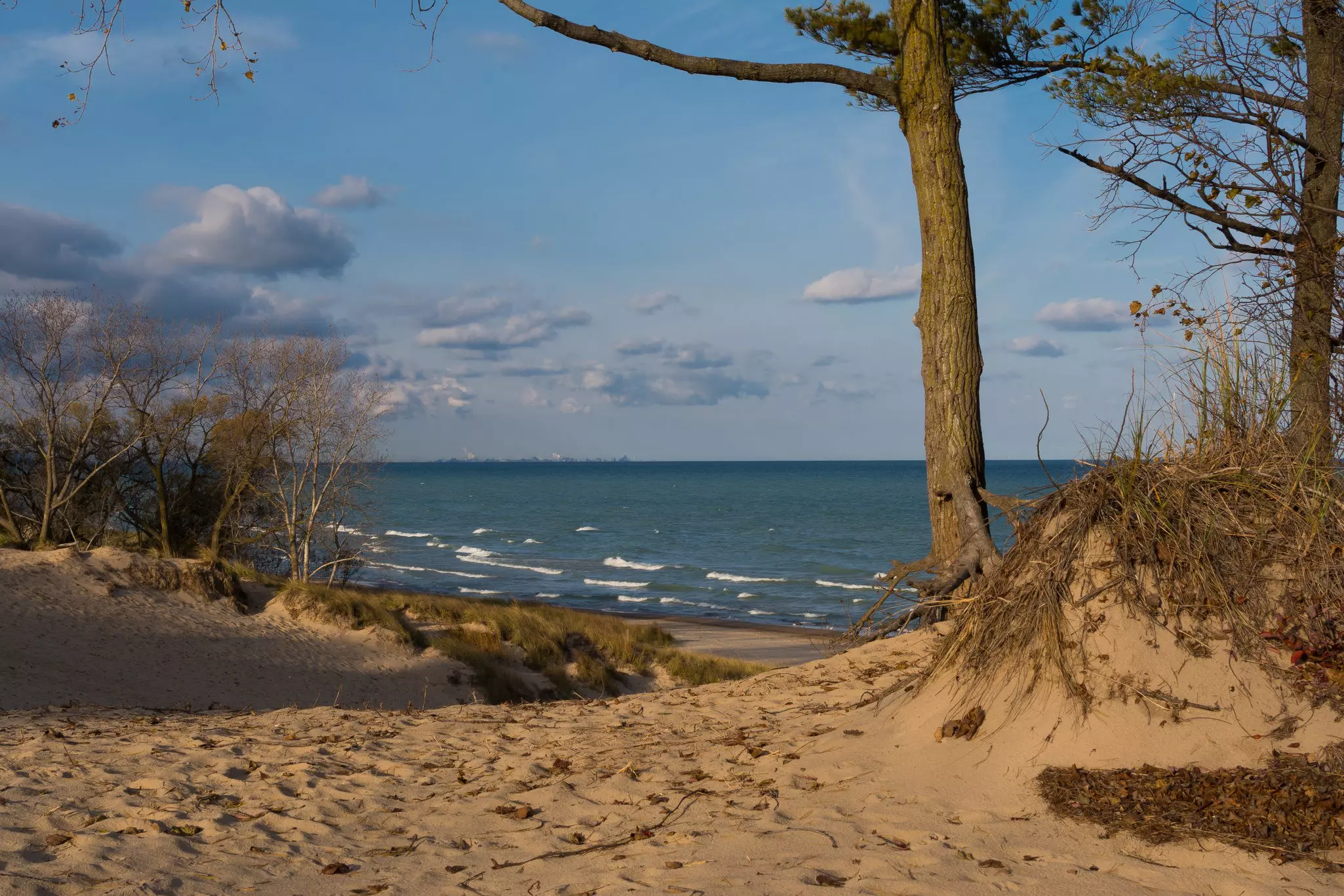 Small sand dunes punctuated by hardwood trees give way to the shoreline and bright blue waters in Indiana Dunes National Park