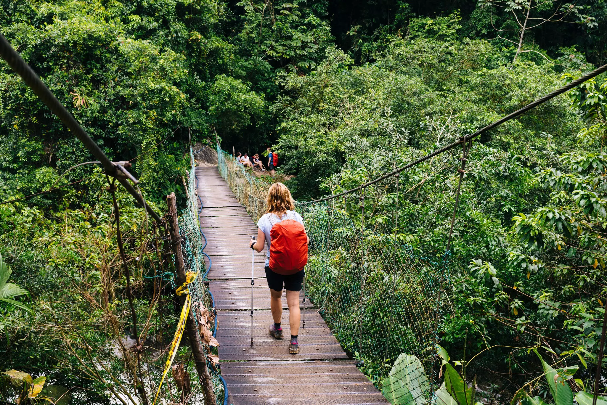 A person with hiking poles and a red backpack crosses a narrow suspension bridge in the jungle.