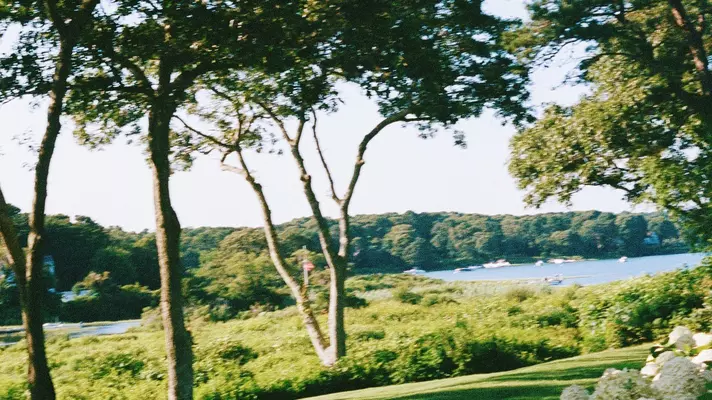 Hydrangeas on Martha's Vineyard