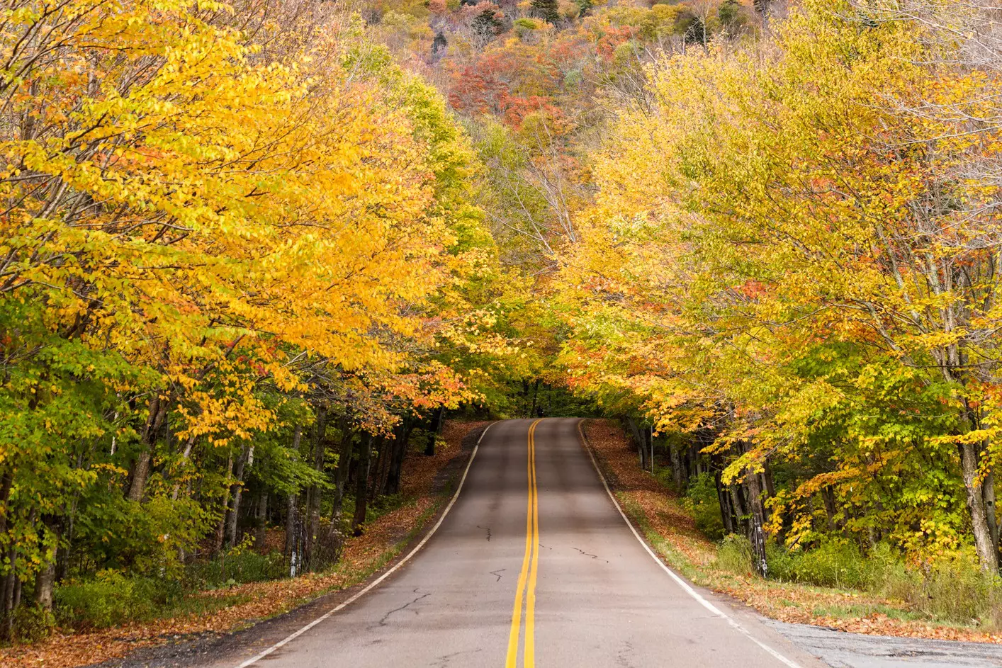 An empty two-lane blacktop road in Vermont cuts through a wooded area with trees with yellow leaves.