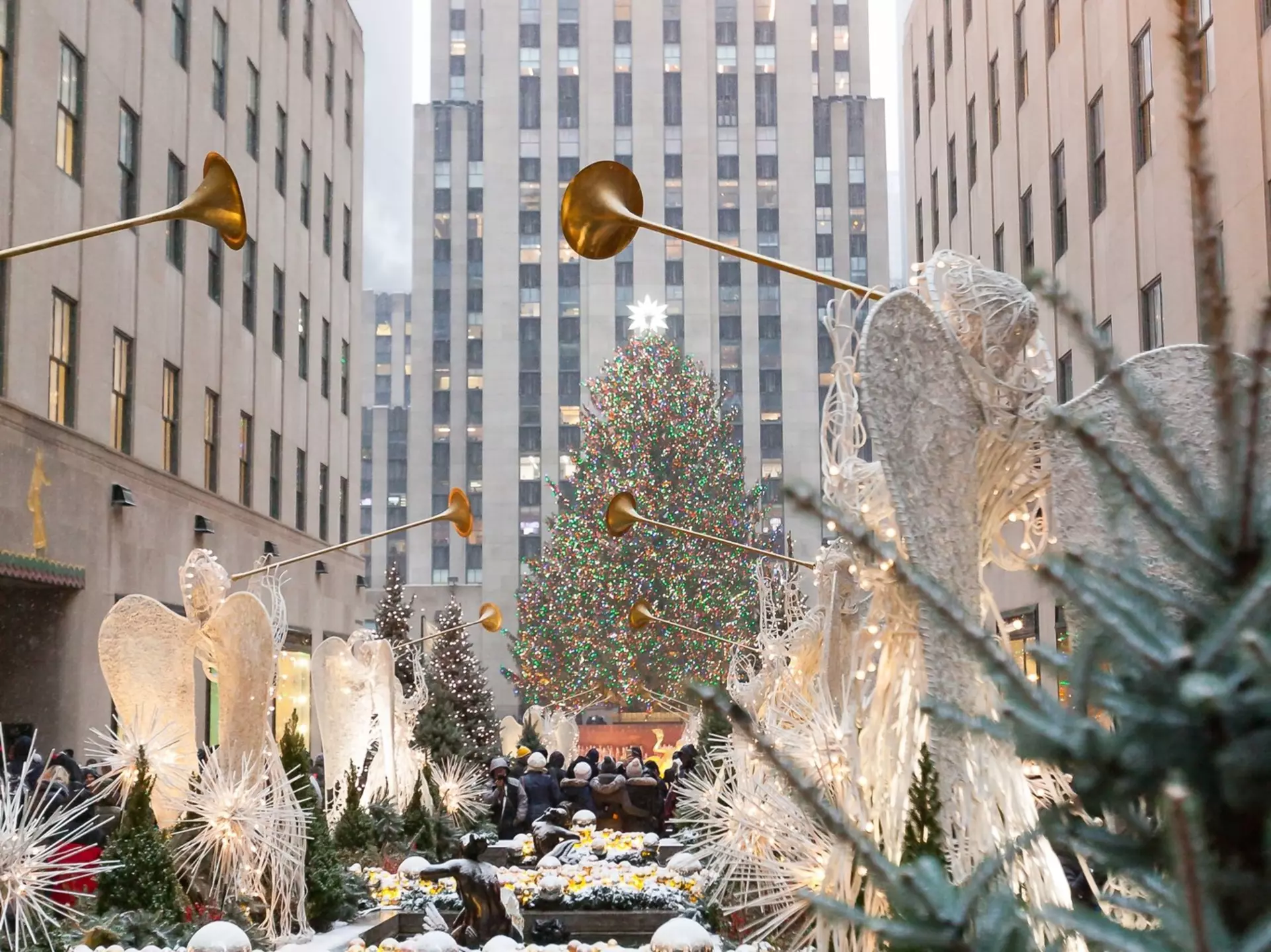 Rockefeller Christmas tree in New York City
