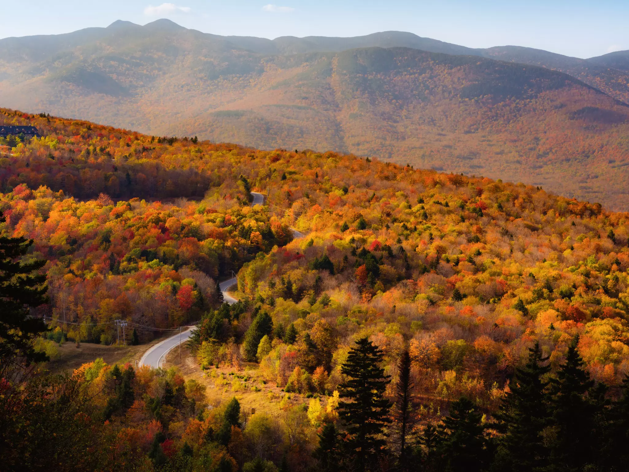An aerial view of a valley full of trees in fall foliage
