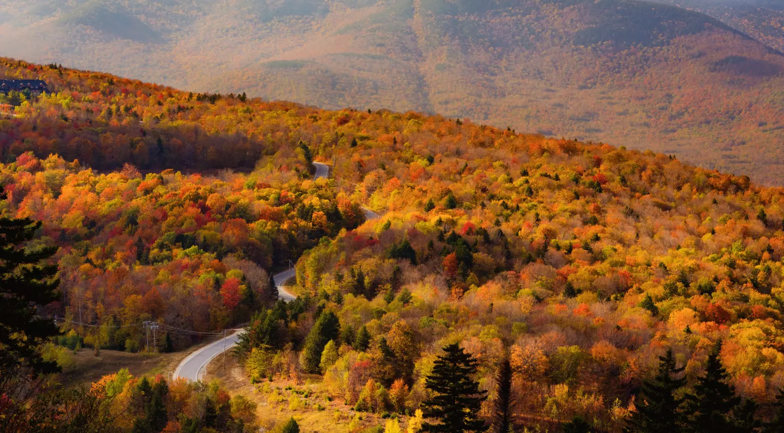An aerial view of a valley full of trees in fall foliage