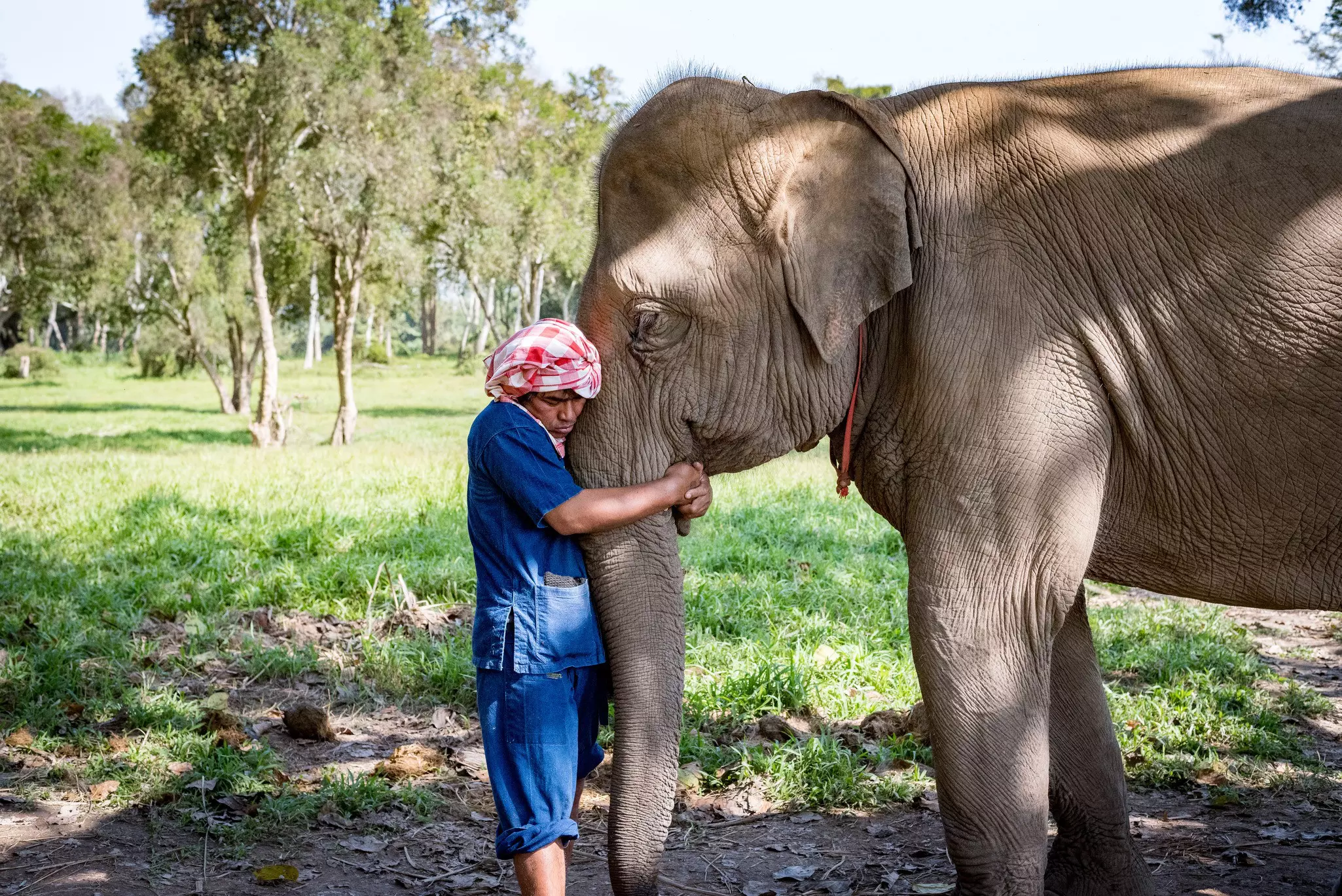 There is a deep connection between a mahout and their elephant © Anna Haines / Lonely Planet