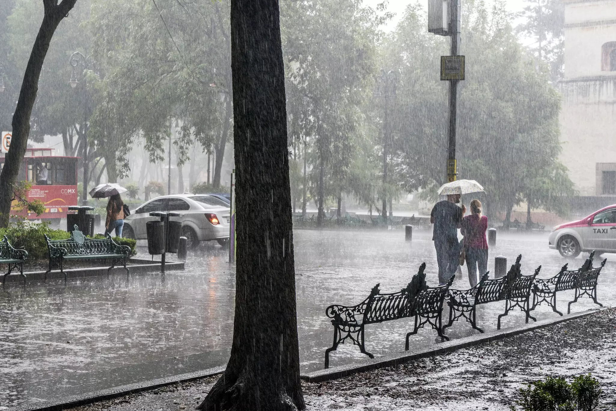 A couple under an umbrella in heavy rain in Mexico City.