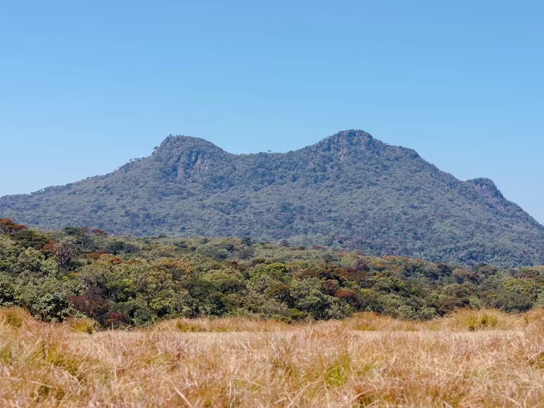 View of Mt Kirigalpotta, the second tallest mountain in Sri Lanka, from the Horton Plains National Park in the central highlands of Sri Lanka. 
