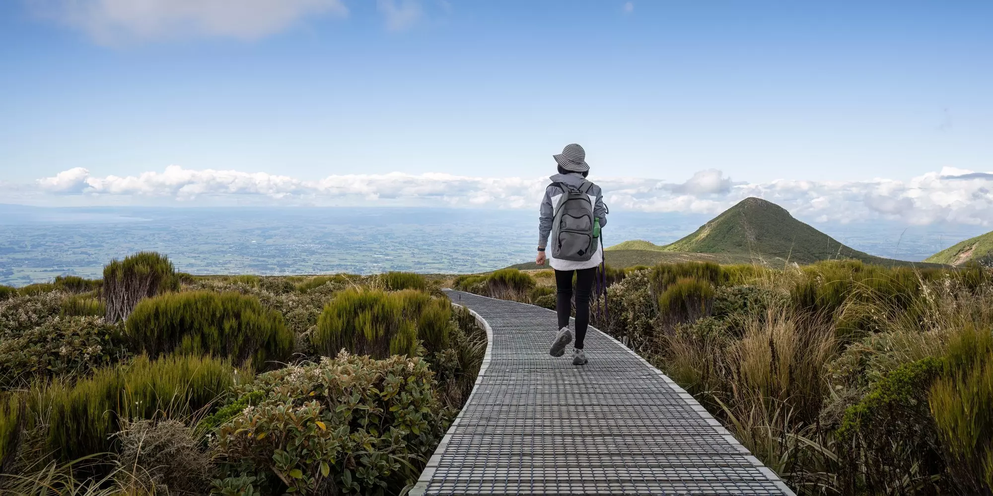 Woman hiking Pouakai circuit, walking on boardwalk. Views of the Taranaki in the distance. Egmont National park. New Zealand.  