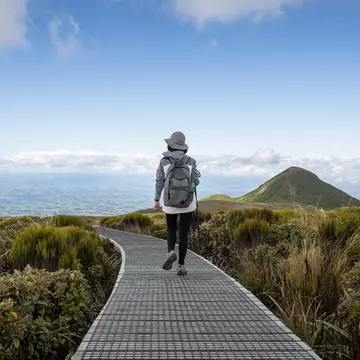 Woman hiking the Pouakai circuit in Egmont National Park, New Zealand. Janice Chen/Shutterstock