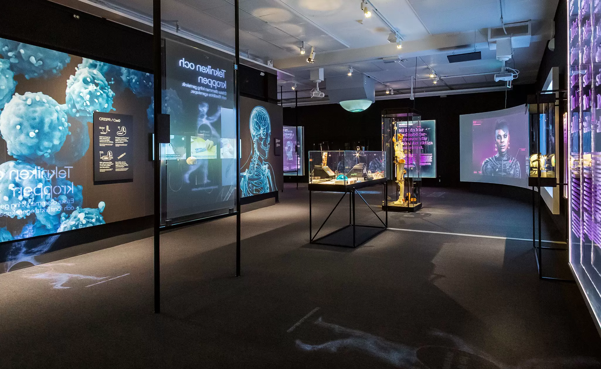 Handout Images from Tekniska Museet in Stockholm, Sweden. View of the Hyper Human exhibition.